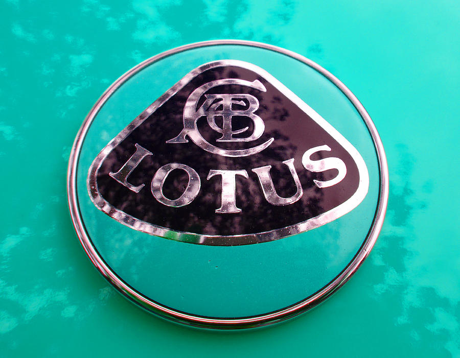 Lotus Logo in Spring 8 Photograph by Laurie Tsemak