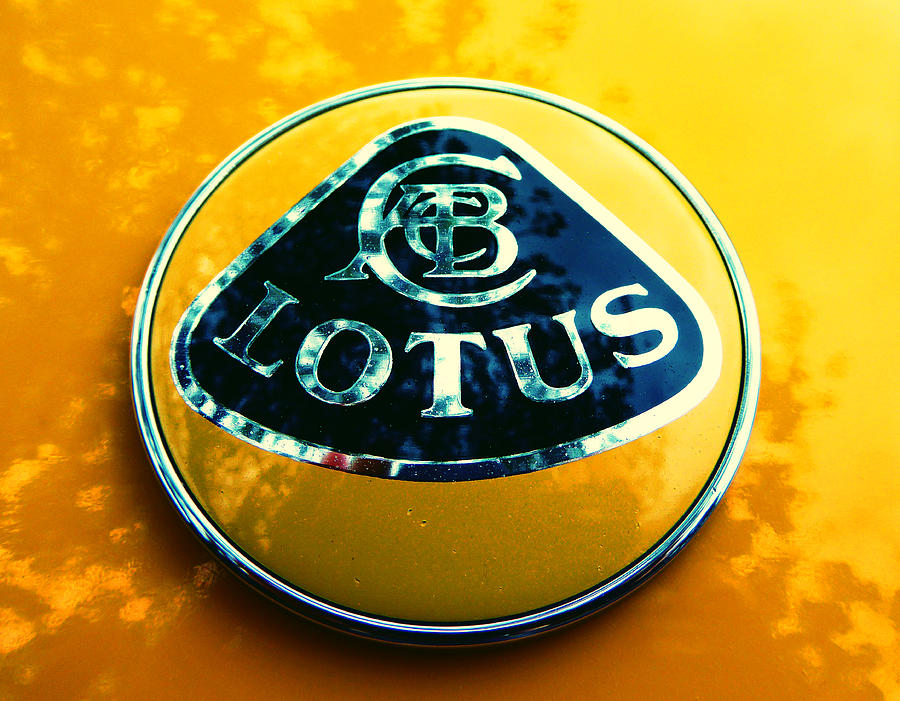 Lotus Logo in Spring 9 Photograph by Laurie Tsemak