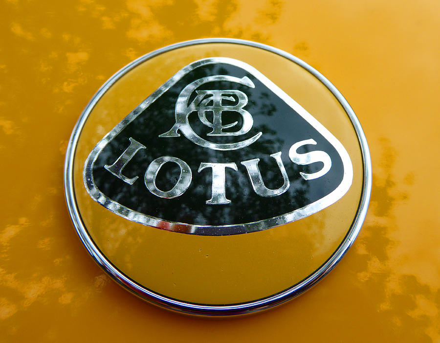 Lotus Logo in Spring Photograph by Laurie Tsemak