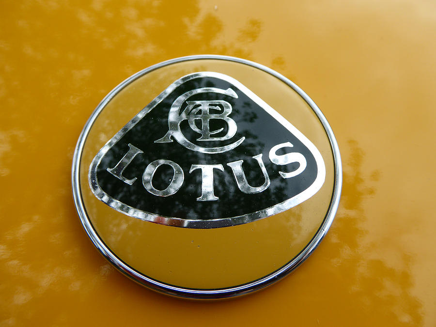 Lotus Logo Photograph by Laurie Tsemak