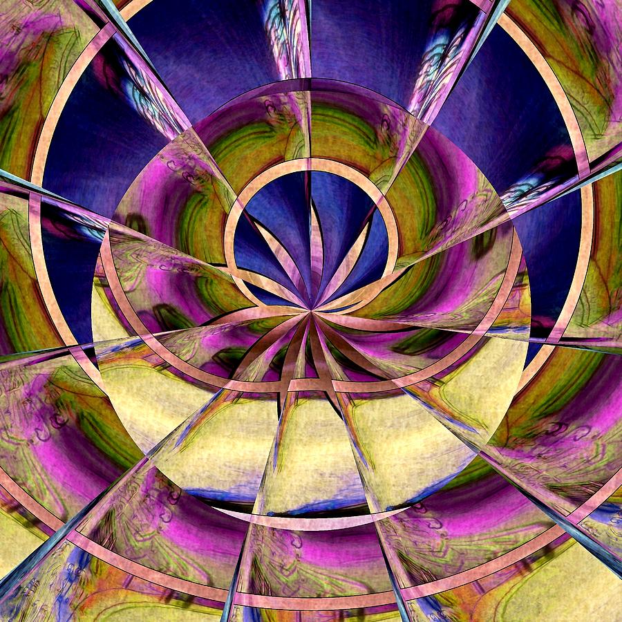 Lotus Moon Digital Art by Susan Maxwell Schmidt