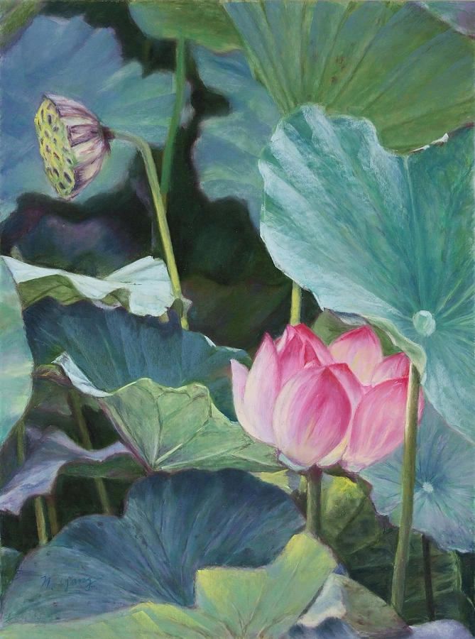 Lotus Pastel - Lotus by Nancy Yang