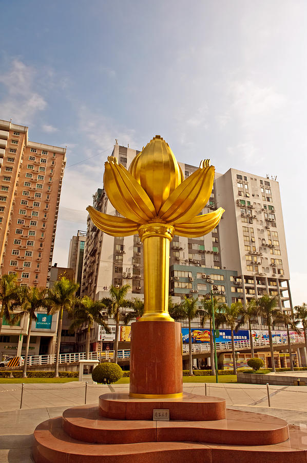 Lotus square in Macau Photograph by Marek Poplawski