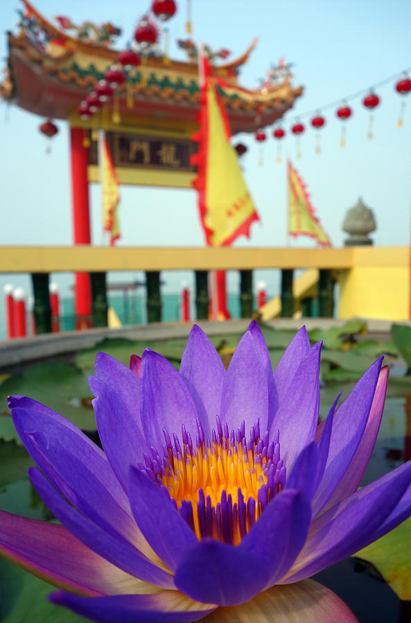 Lotus Temple Photograph by Lauren Rathvon