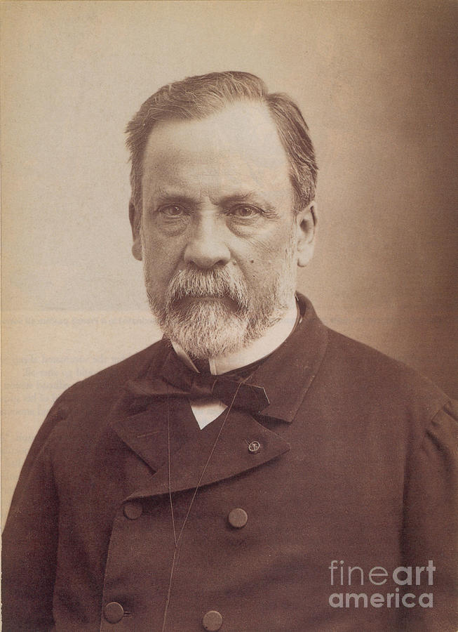 Louis Pasteur, French Bacteriologist Photograph by Science Source