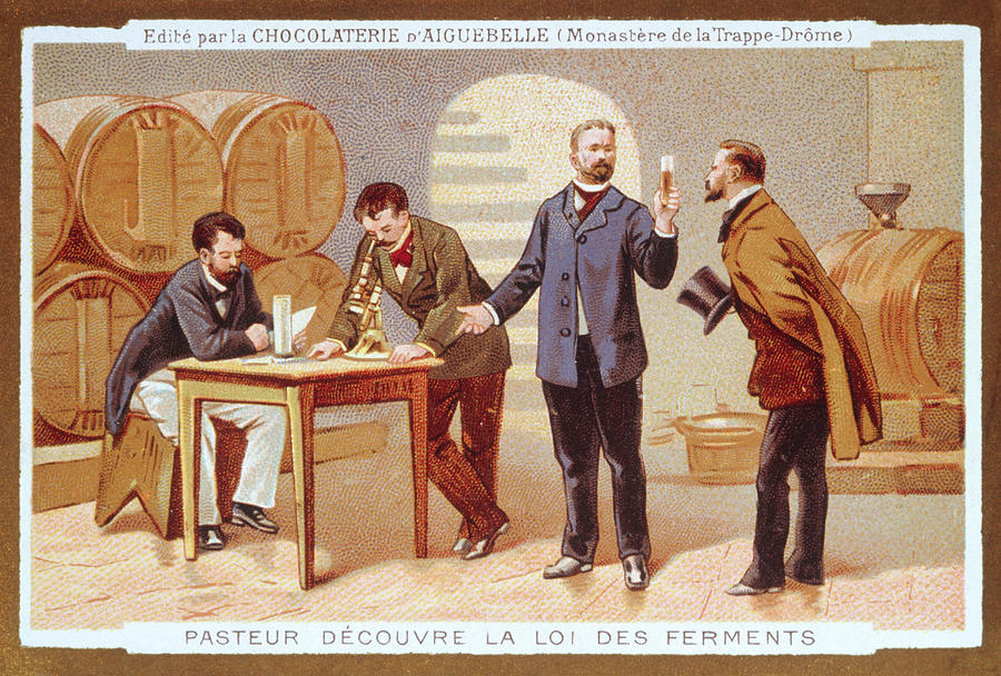 Pasteur Photograph - Louis Pasteur Investigating Fermentation. by Jean-loup Charmet/science Photo Library