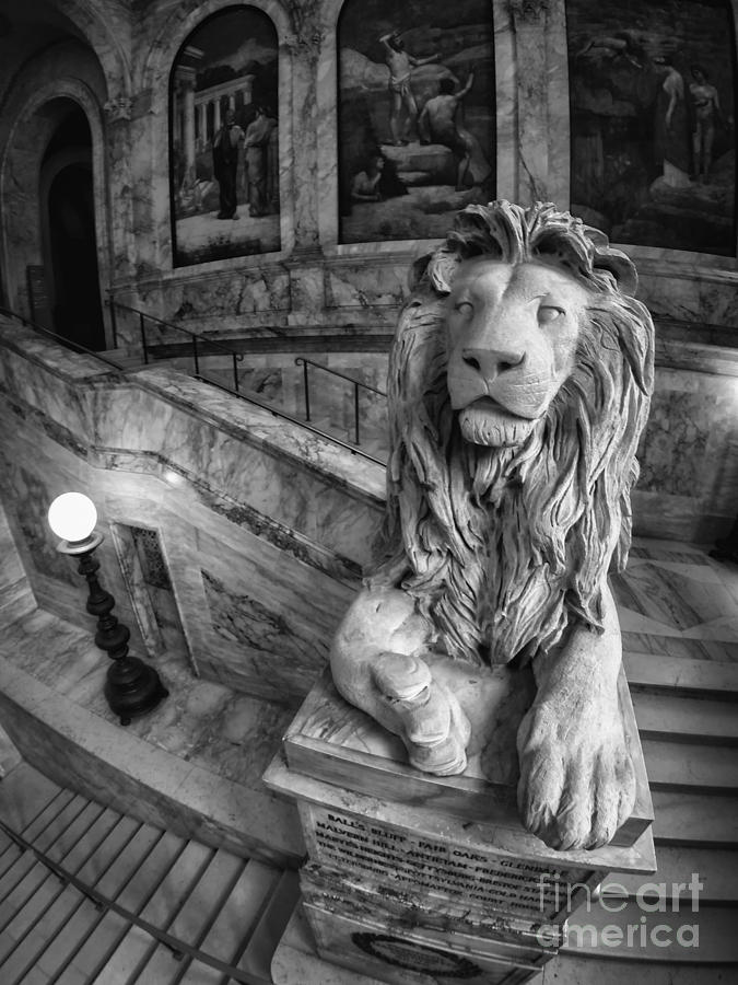 Louis St. Gaudens 20th Massachusetts Lions Boston Public Library B And W Photograph