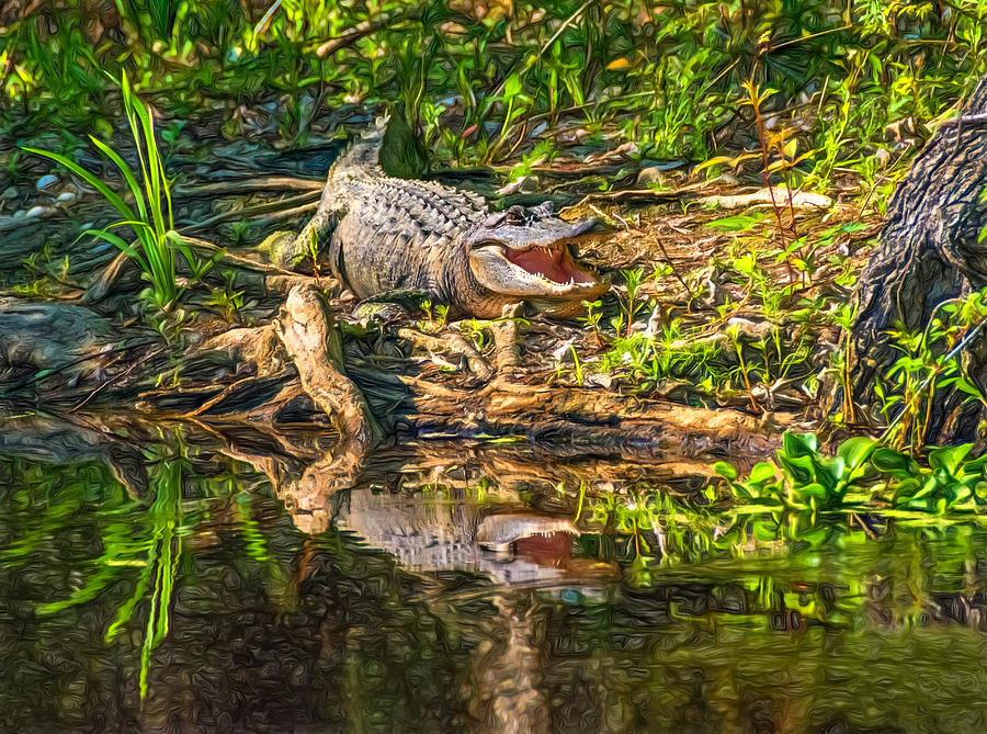 Alligator Photograph - Louisiana Bayou 2 - Paint by Steve Harrington