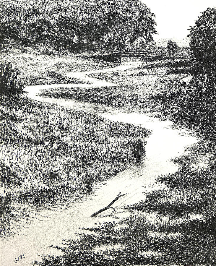 Louisiana Bayou Drawing by Garry McMichael