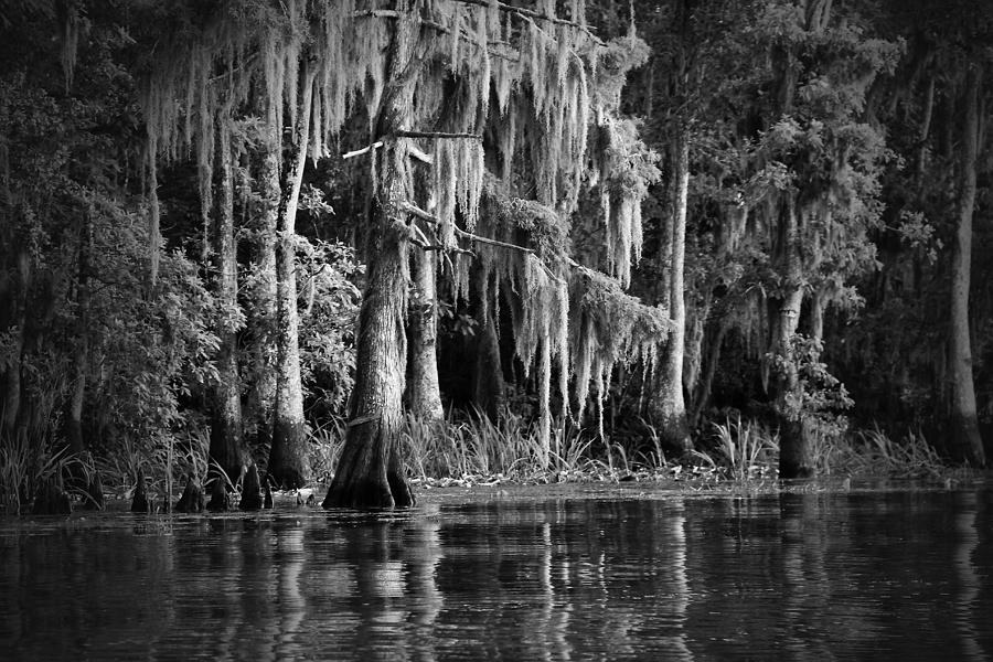 Louisiana Photograph - Louisiana Bayou by Mountain Dreams Louisiana Photograph - Louisiana Bayou by Mountain Dreams