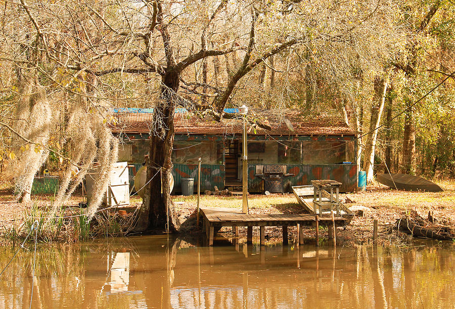 Louisiana Camp In Louisiana Swamp Photograph by Ronald Olivier