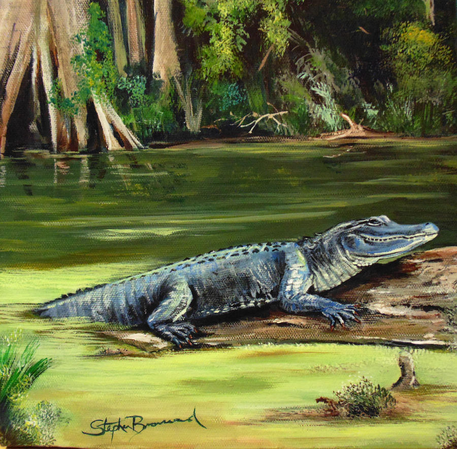 Louisiana Gator Painting by Stephen Broussard