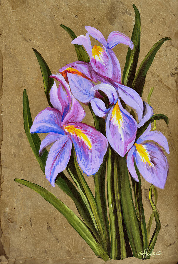 Flower Painting - Louisiana Irises by Elaine Hodges