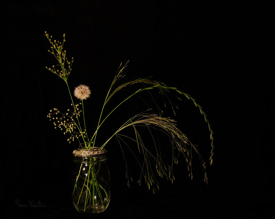 Louisiana Meadow in a Jar Photograph by Pam Kaster