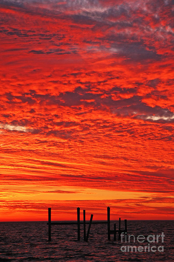 Nature Photograph - Louisiana Orange Sunset by Luana K Perez