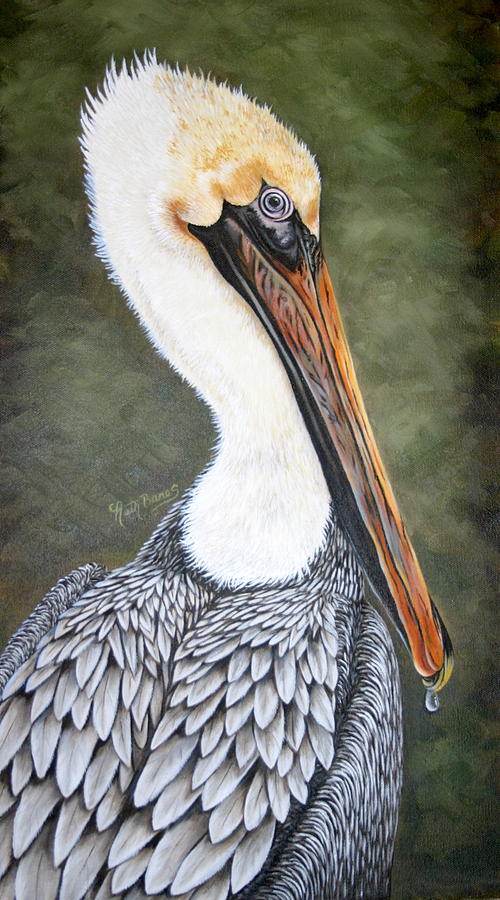 Louisiana Pelican Painting by Ruth Bares