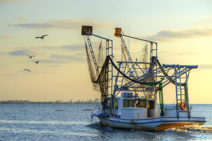 Boat Photograph - Louisiana Shrimping by Charlotte Schafer