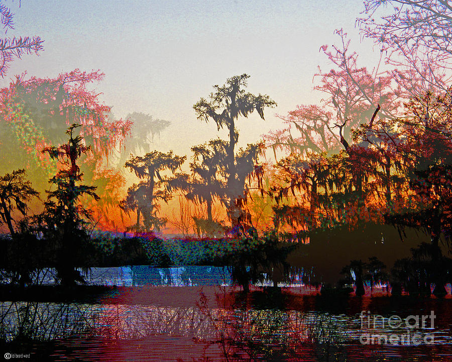Louisiana Swampset Digital Art by Lizi Beard-Ward