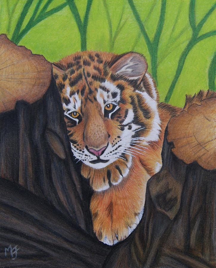 Tiger Painting - Lounging Tiger Cub by Melanie Feltham Tiger Painting - Lounging Tiger Cub by Melanie Feltham