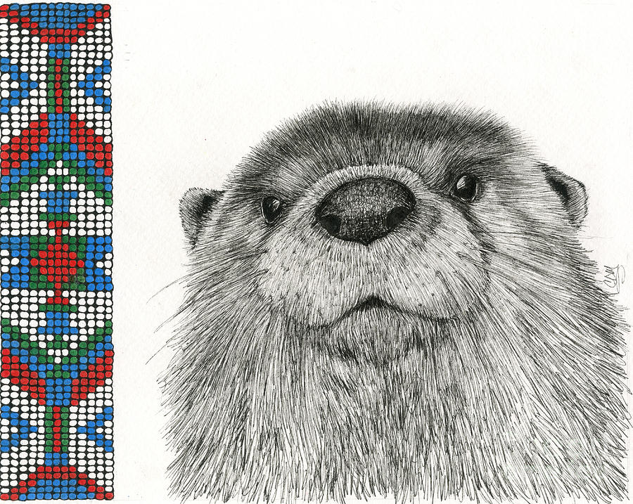 Nature Drawing - Loutre de Riviere by Christine Matha