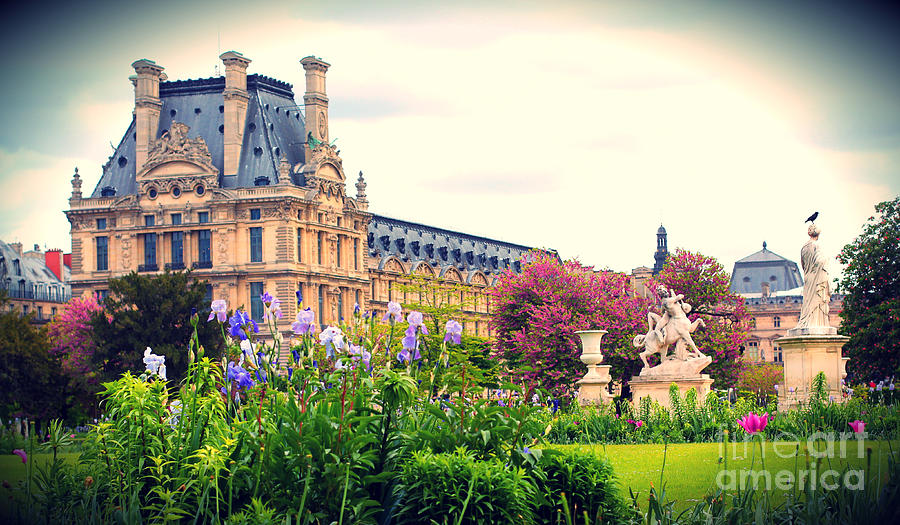 Louvre and Tuileries Gardens Photograph by Hermes Fine Art
