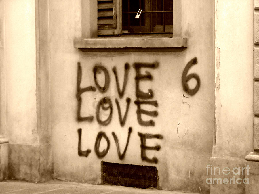 Love 6 Photograph by Valerie Reeves