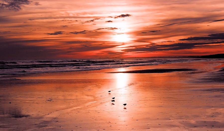 love-a-pink-sunset-kiawah-island-photograph-by-rosanne-jordan-fine