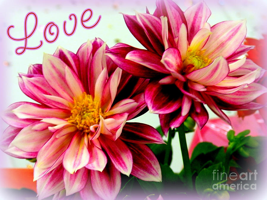 Love and Flowers Photograph by Kathy  White