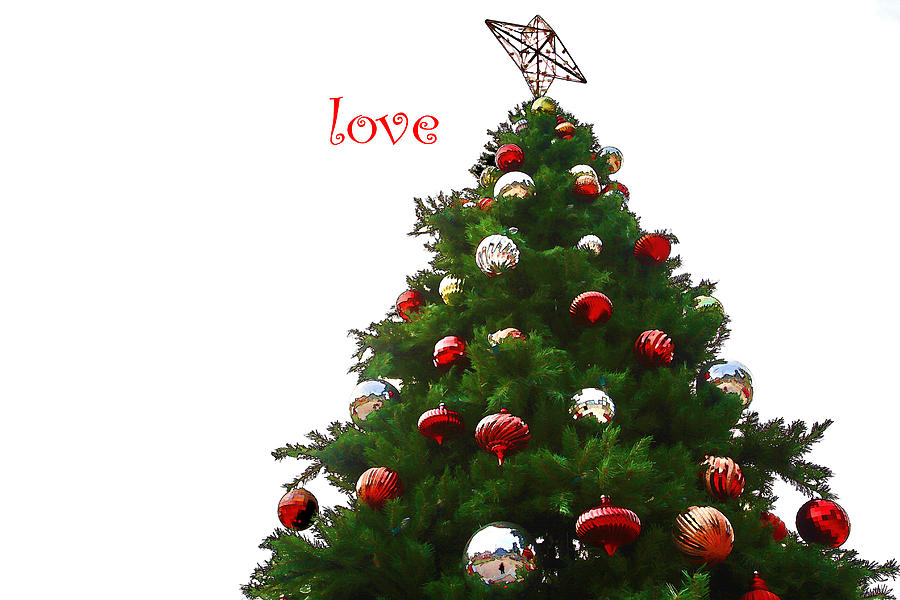 Christmas Photograph - Love by Audreen Gieger
