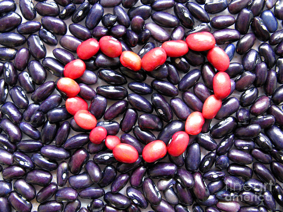 Unique Photograph - Love Beans #01 by Ausra Huntington nee Paulauskaite