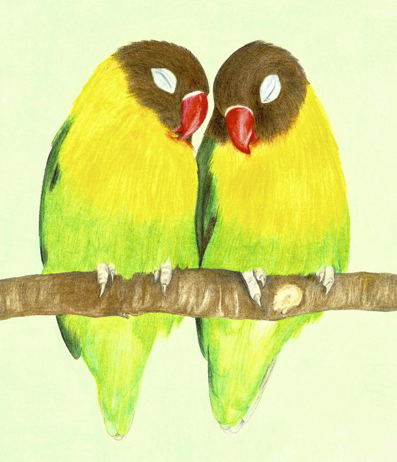 How to Draw Love Birds - Really Easy Drawing Tutorial