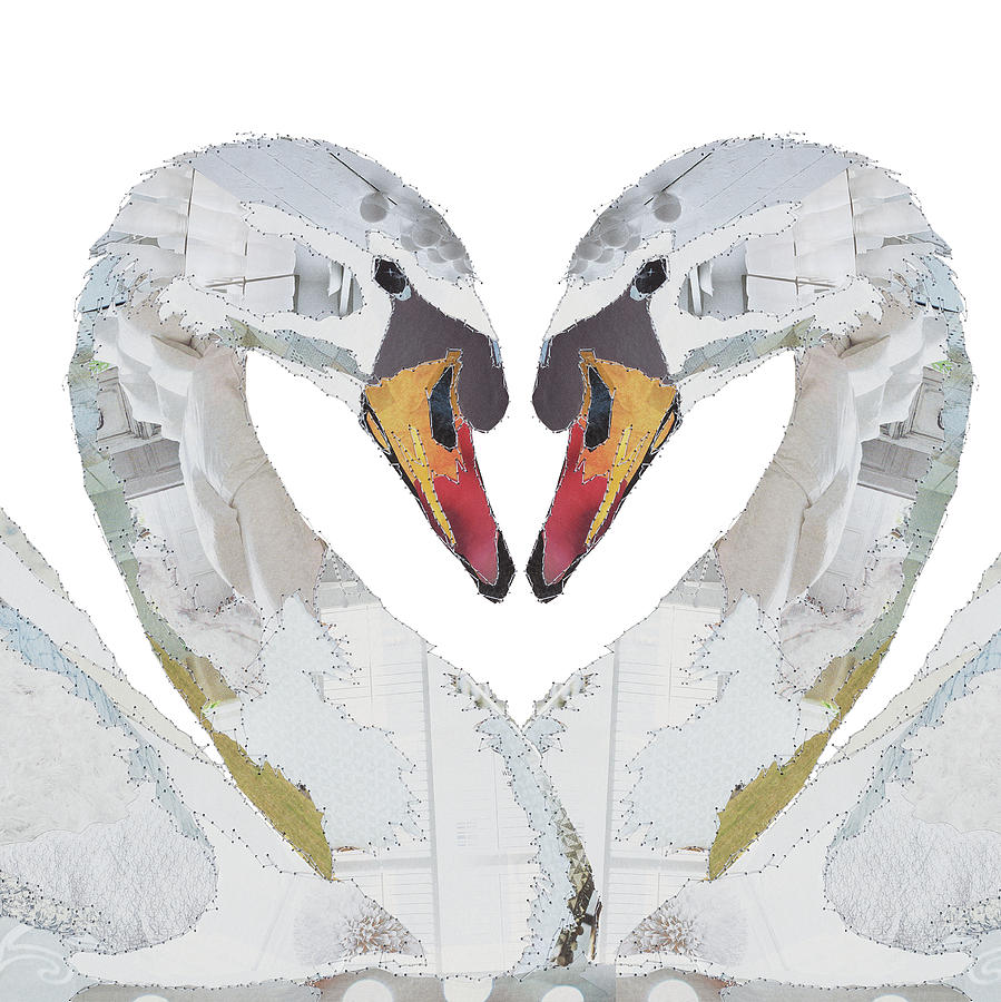 Love Birds-swans Painting by MGL Meiklejohn Graphics Licensing