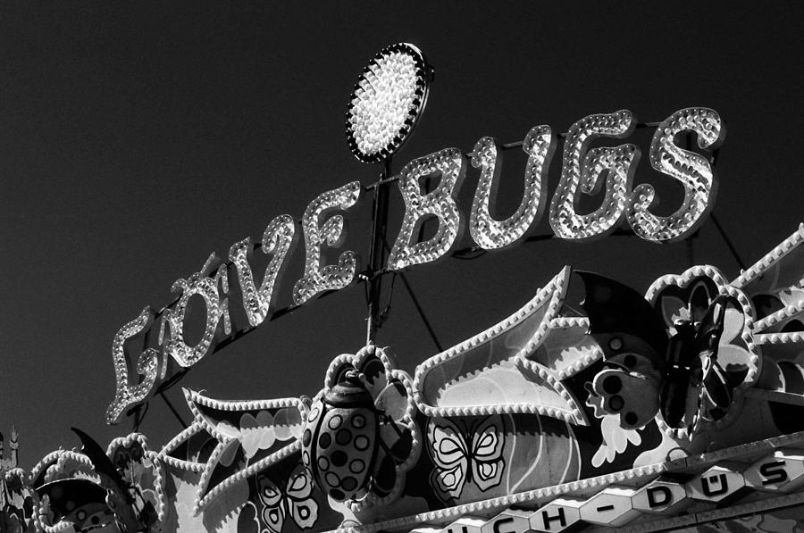 Love Bugs - Infrared Photograph by Pamela Critchlow
