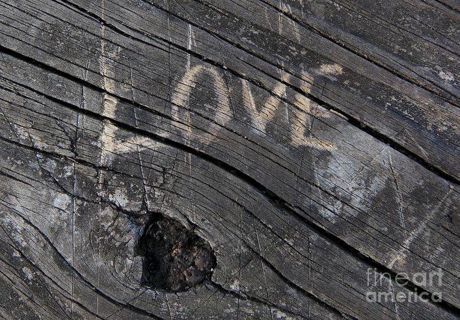 Love carved into wood Photograph by Jonathan Welch
