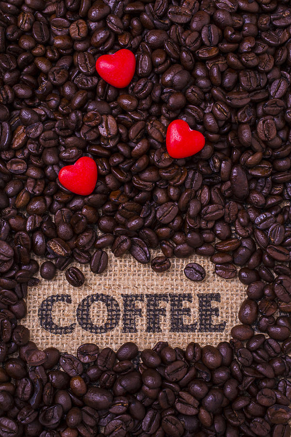 Love Coffee Photograph by Garry Gay