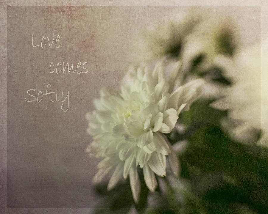 Love comes Softly  Photograph by Mary Underwood