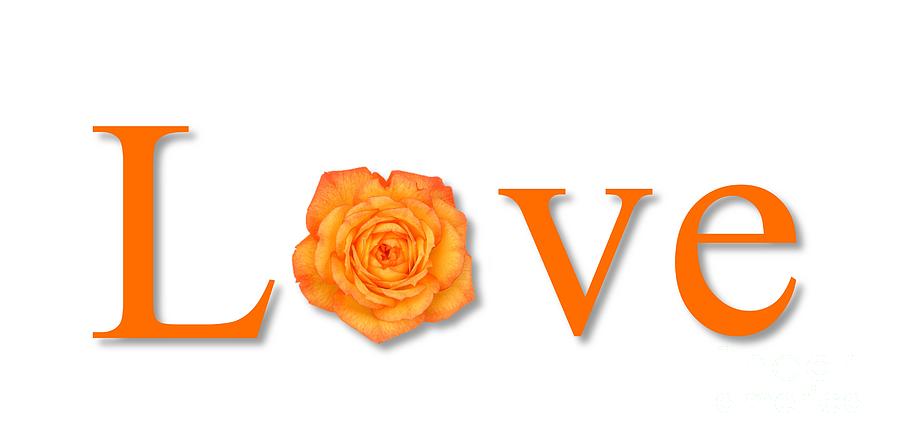 Love Flower Orange Photograph