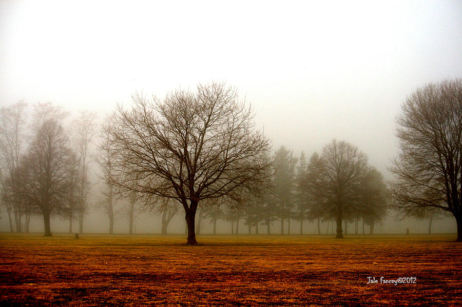 Love Foggy Mornings Photograph by Jale Fancey