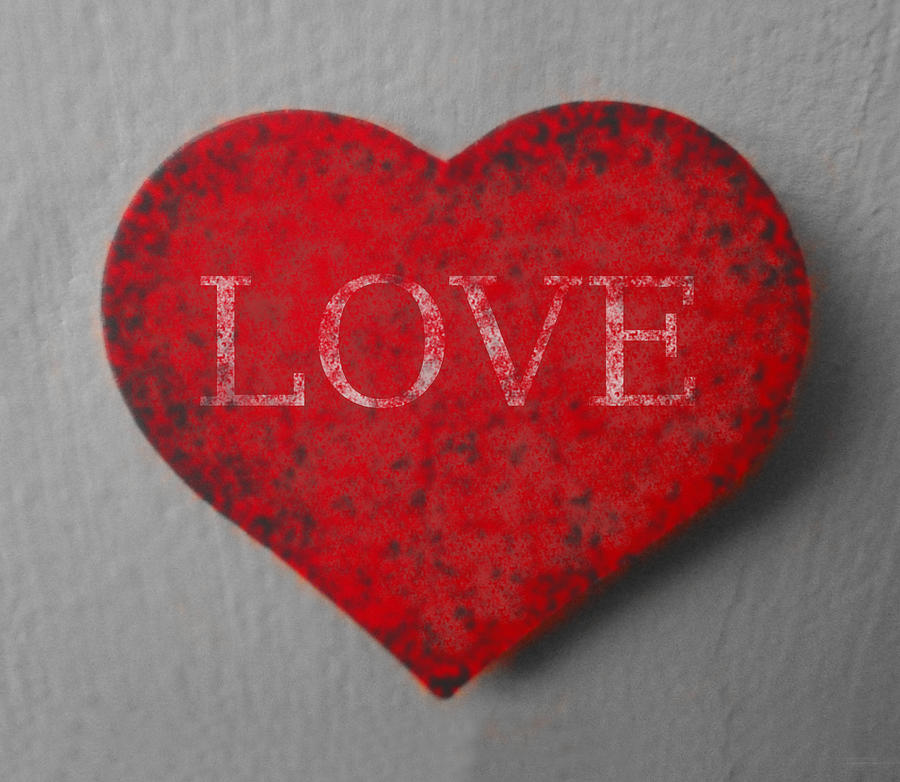 Richard Reeve Photograph - Love Heart 1 by Richard Reeve
