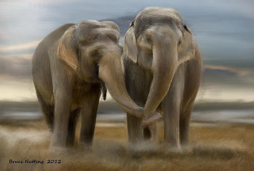 Elephant Painting - Love in all Sizes by Bruce Nutting
