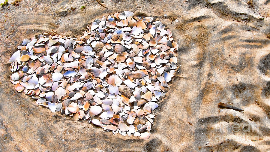 Love in the Sand Photograph by Colleen Kammerer