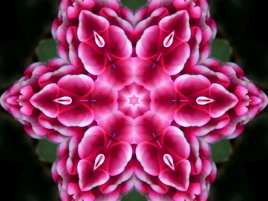 Mandalas Digital Art - Love is Divine Mandala by Diane Lynn Hix