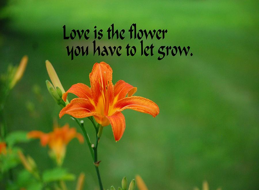 Flowers Still Life Photograph - Love is the Flower by Gary Wonning