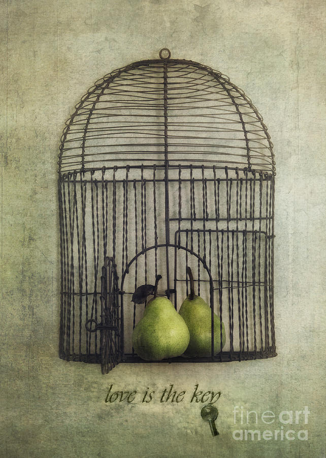 Pear Photograph - Love is the key with typo by Priska Wettstein