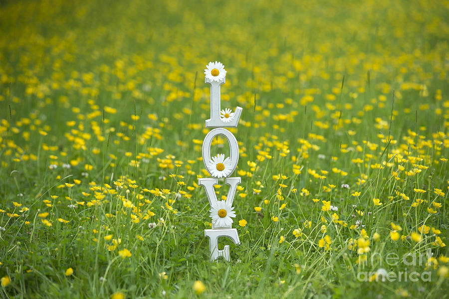 Flower Photograph - Love Is by Tim Gainey