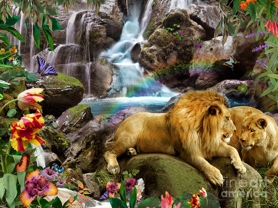 Jungle Digital Art - Love Lion Waterfall by MGL Meiklejohn Graphics Licensing