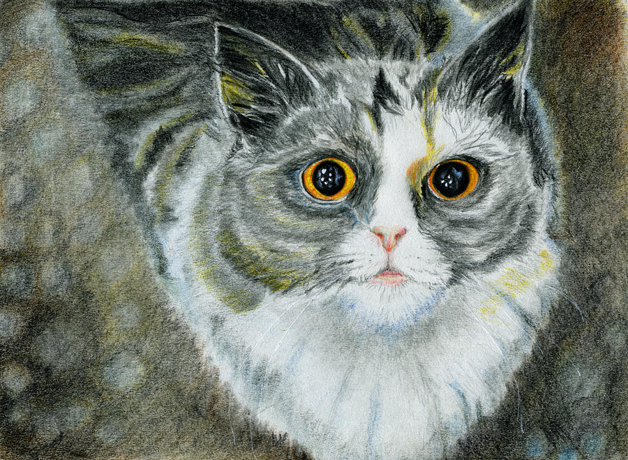 Cat Drawing - Love Me by Angela Courtney