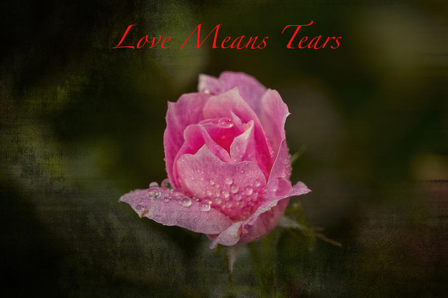 Love Means Tears Photograph by Constantine Gregory
