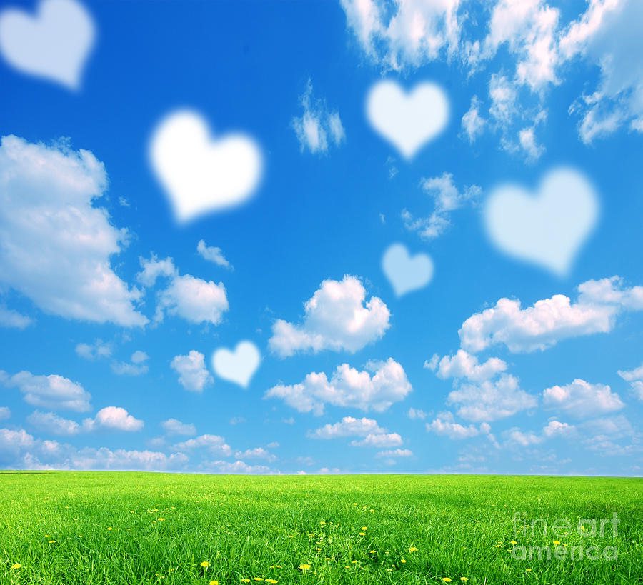 Love Nature Background Photograph By Michal Bednarek