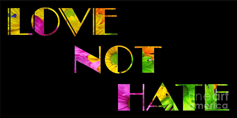 Love Not Hate Crazy Daisies Black Photograph by Andee Design